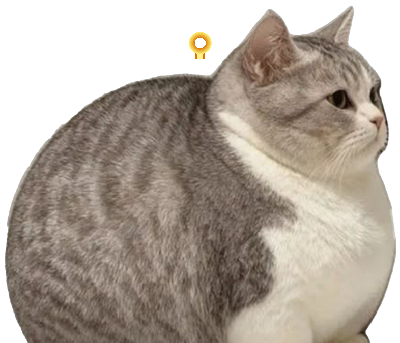 Chonky Cat Charm