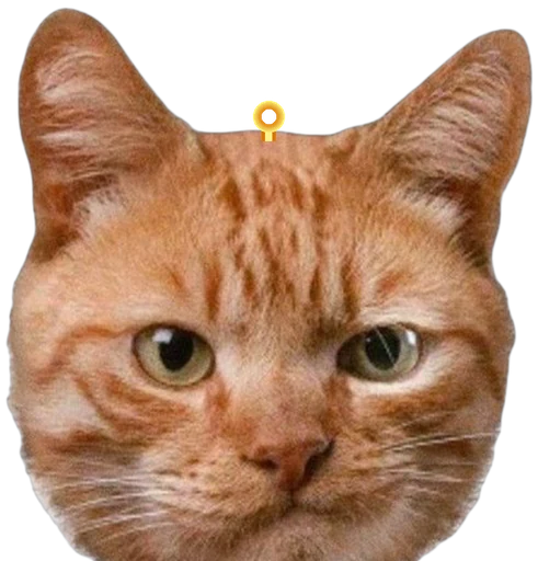 Orange Cat Charm